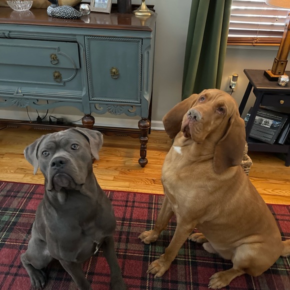 Meet your Posher, Jamie - Picture 2 of 2